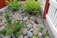 Schottland Island 2017