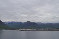 Schottland Island 2017