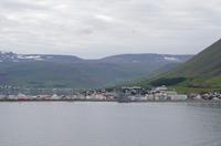 Schottland Island 2017