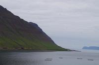 Schottland Island 2017