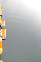 Schottland Island 2017