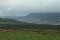 Schottland Island 2017