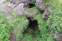 Schottland Island 2017