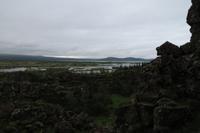 Schottland Island 2017