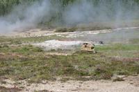 Schottland Island 2017