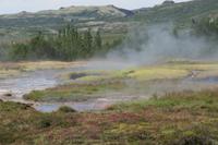 Schottland Island 2017