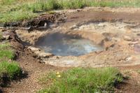 Schottland Island 2017