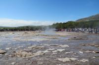 Schottland Island 2017