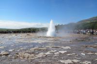 Schottland Island 2017