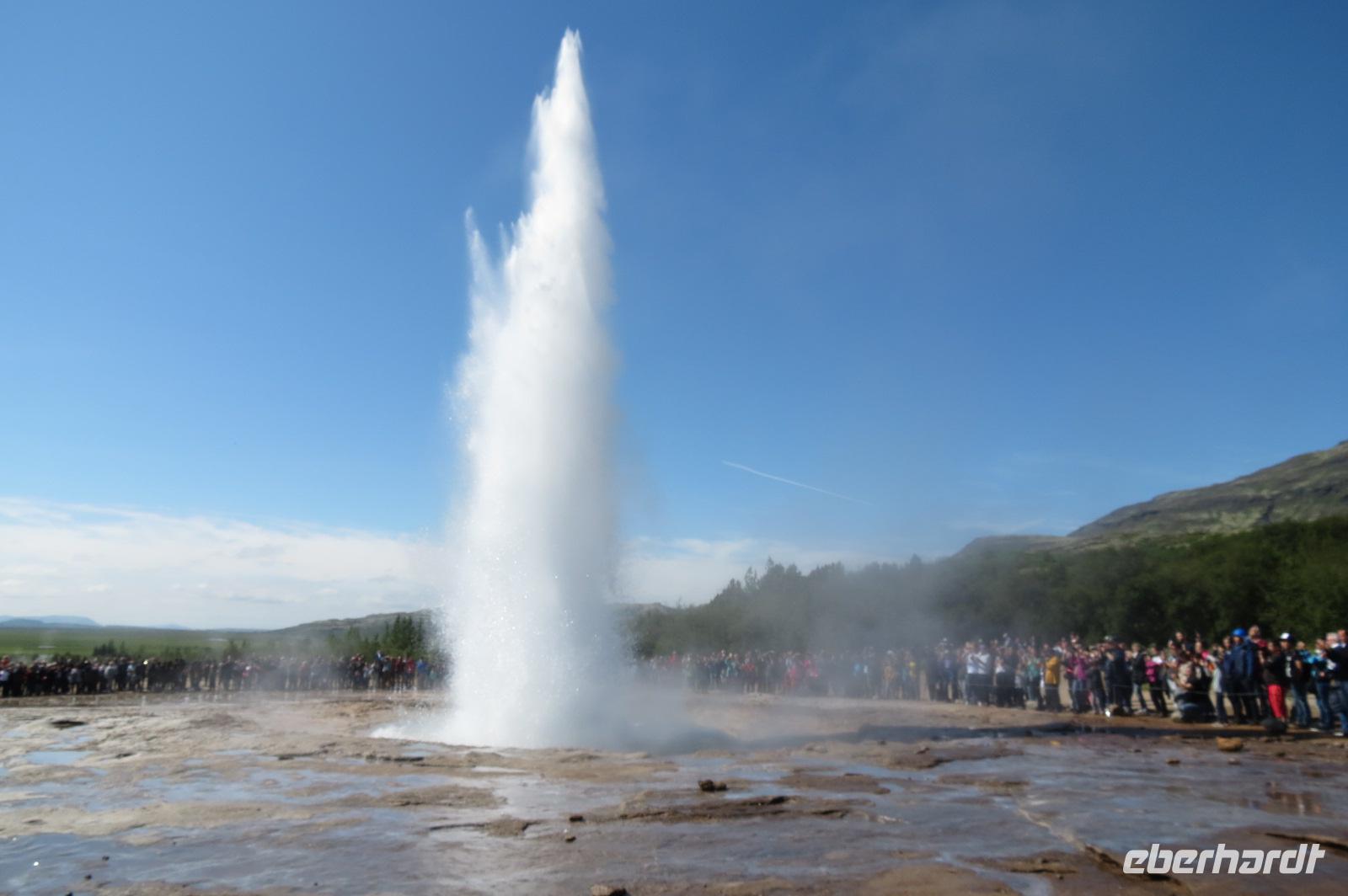 Schottland Island 2017