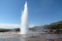 Schottland Island 2017