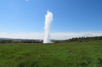 Schottland Island 2017