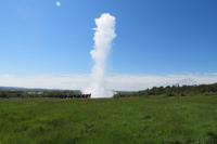 Schottland Island 2017