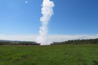 Schottland Island 2017