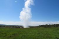 Schottland Island 2017