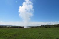 Schottland Island 2017