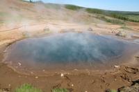 Schottland Island 2017