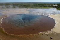 Schottland Island 2017