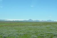 Schottland Island 2017