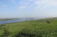 Schottland Island 2017