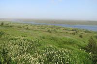 Schottland Island 2017