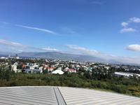 Schottland Island 2017