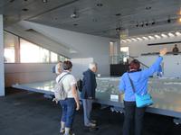 Schottland Island 2017