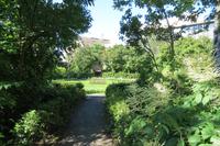 Schottland Island 2017