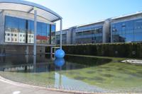 Schottland Island 2017