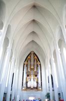 Schottland Island 2017