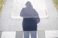 Schottland Island 2017