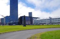 Schottland Island 2017