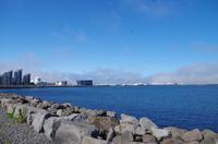 Schottland Island 2017