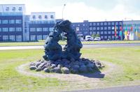 Schottland Island 2017