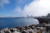 Schottland Island 2017