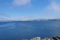 Schottland Island 2017