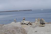 Schottland Island 2017