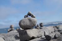 Schottland Island 2017