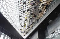 Schottland Island 2017