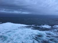 Schottland Island 2017