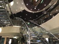 Schottland Island 2017