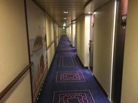 Schottland Island 2017