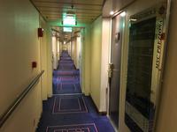 Schottland Island 2017