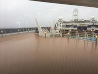 Schottland Island 2017