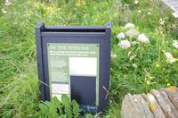 Schottland Island 2017