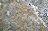 Schottland Island 2017