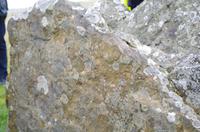 Schottland Island 2017