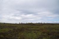 Schottland Island 2017