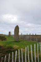 Schottland Island 2017