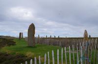 Schottland Island 2017